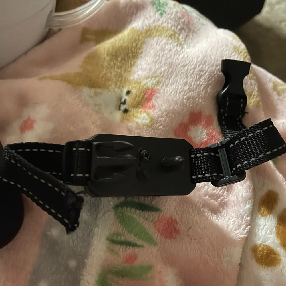 Dog shock collar